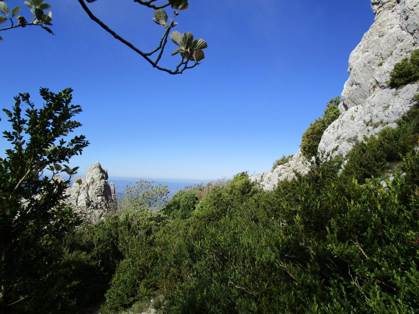 Bugarach, ascension d'un mythe ©D.Cosperec-Villemarcheurs