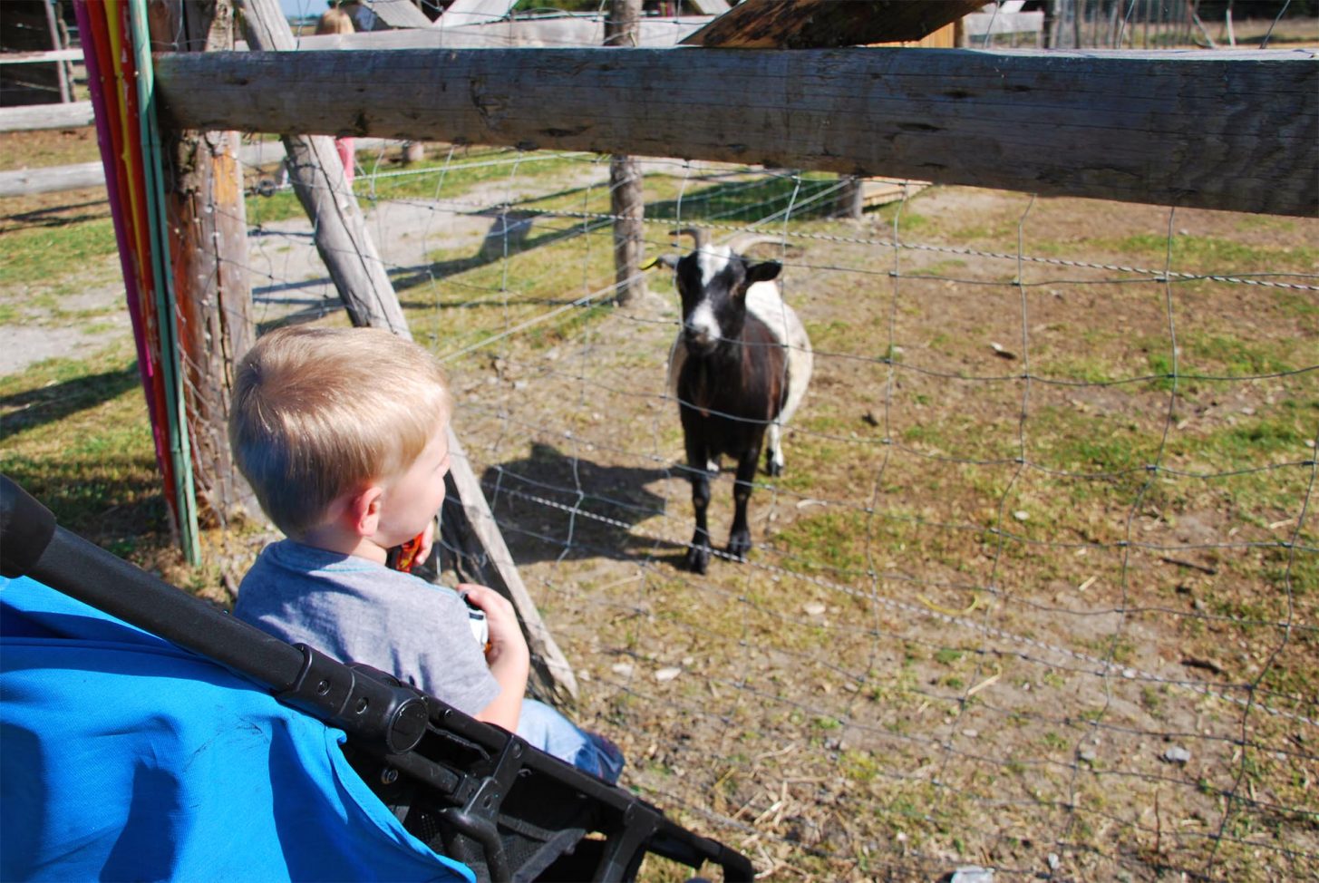 Visite de la ferme la matarelle avec les enfants ©Office de Tourisme de Castelnaudary