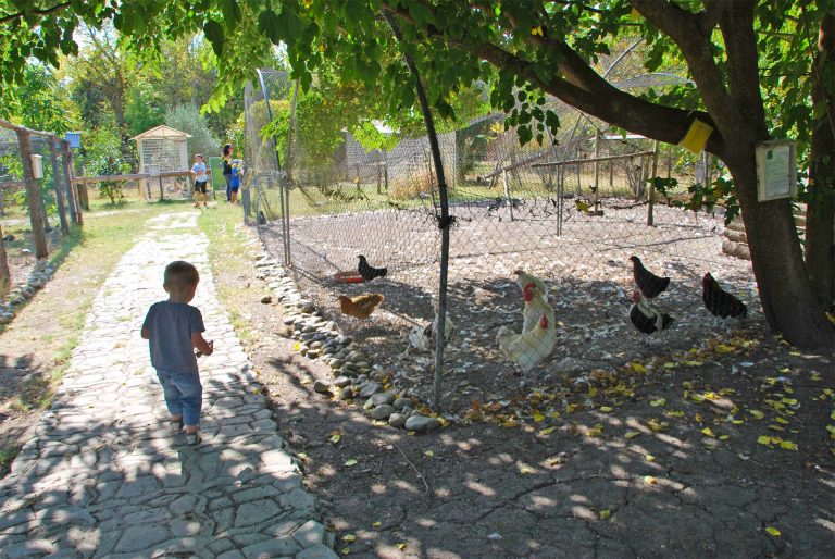 Visite de la ferme la matarelle avec les enfants ©Office de Tourisme de Castelnaudary