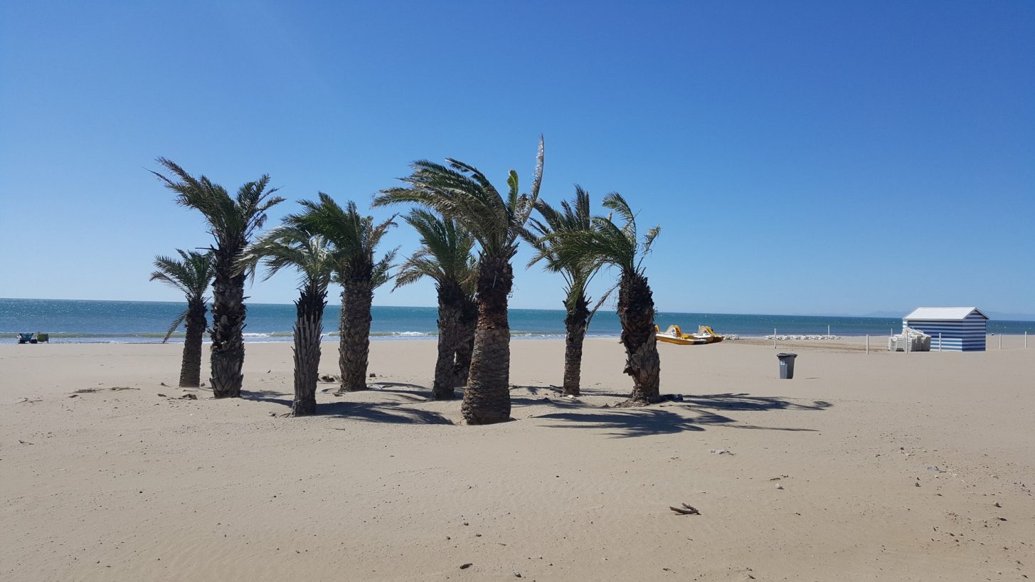 Vue sur la plage de Narbonne-plage ©ADT de l'Aude