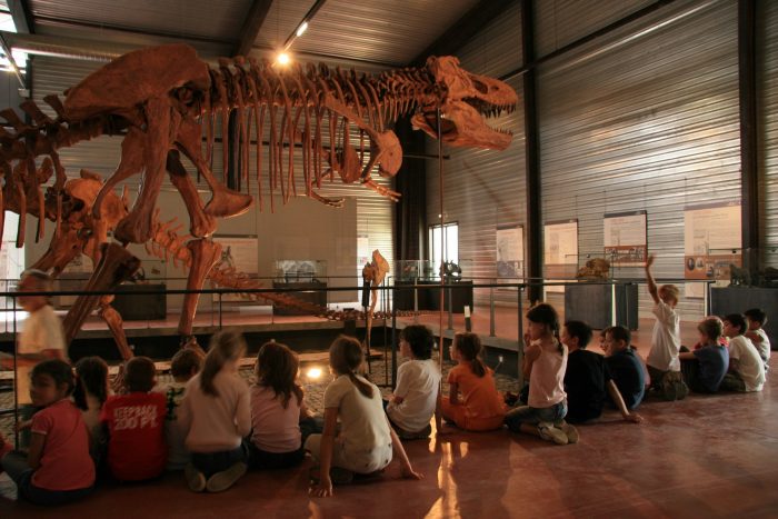 Visite avec les enfants au Musée des dinosaures à Espéraza ©CCI de Carcassonne