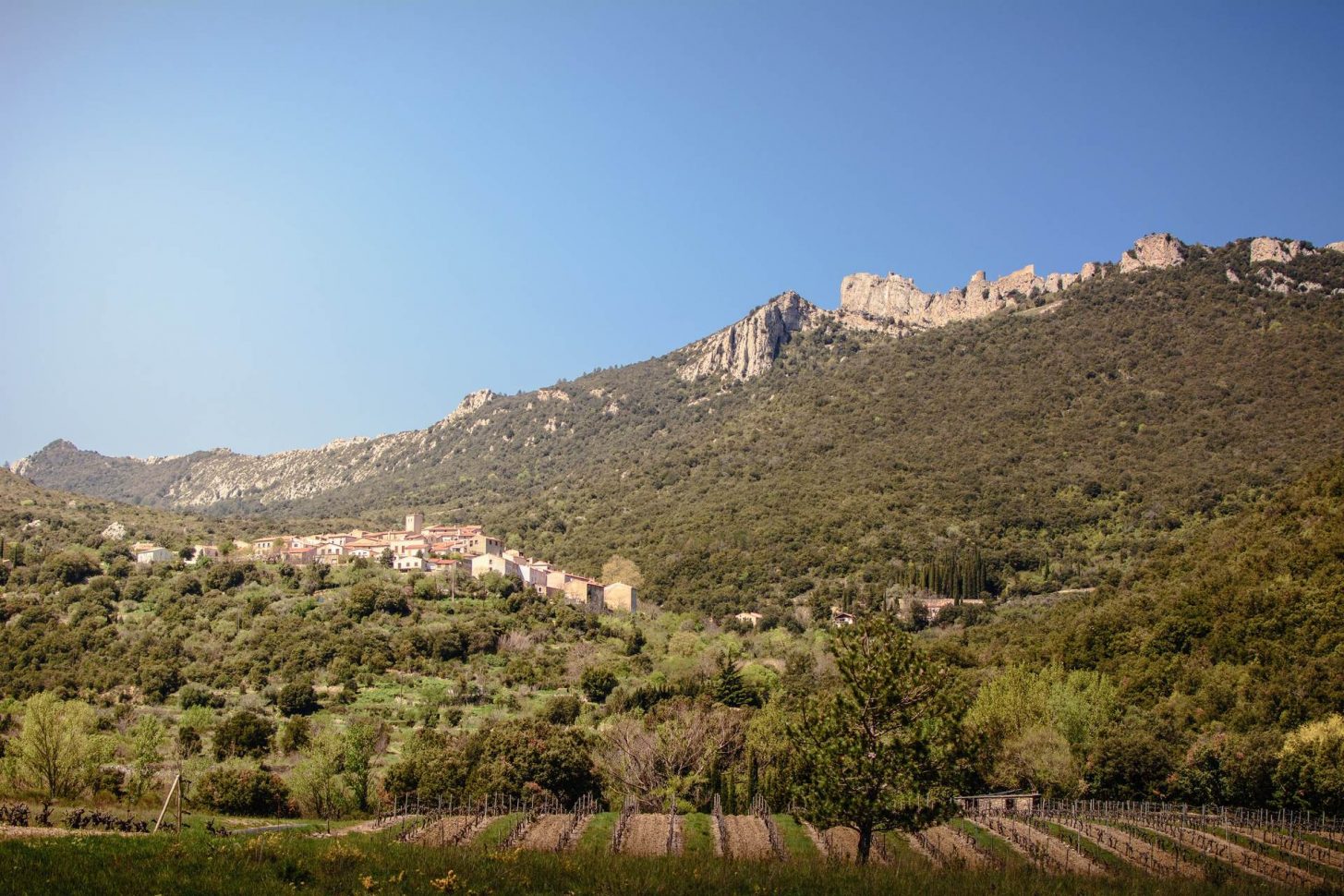 Le Château de Peyrepertuse et son village ©Vincent Photographie