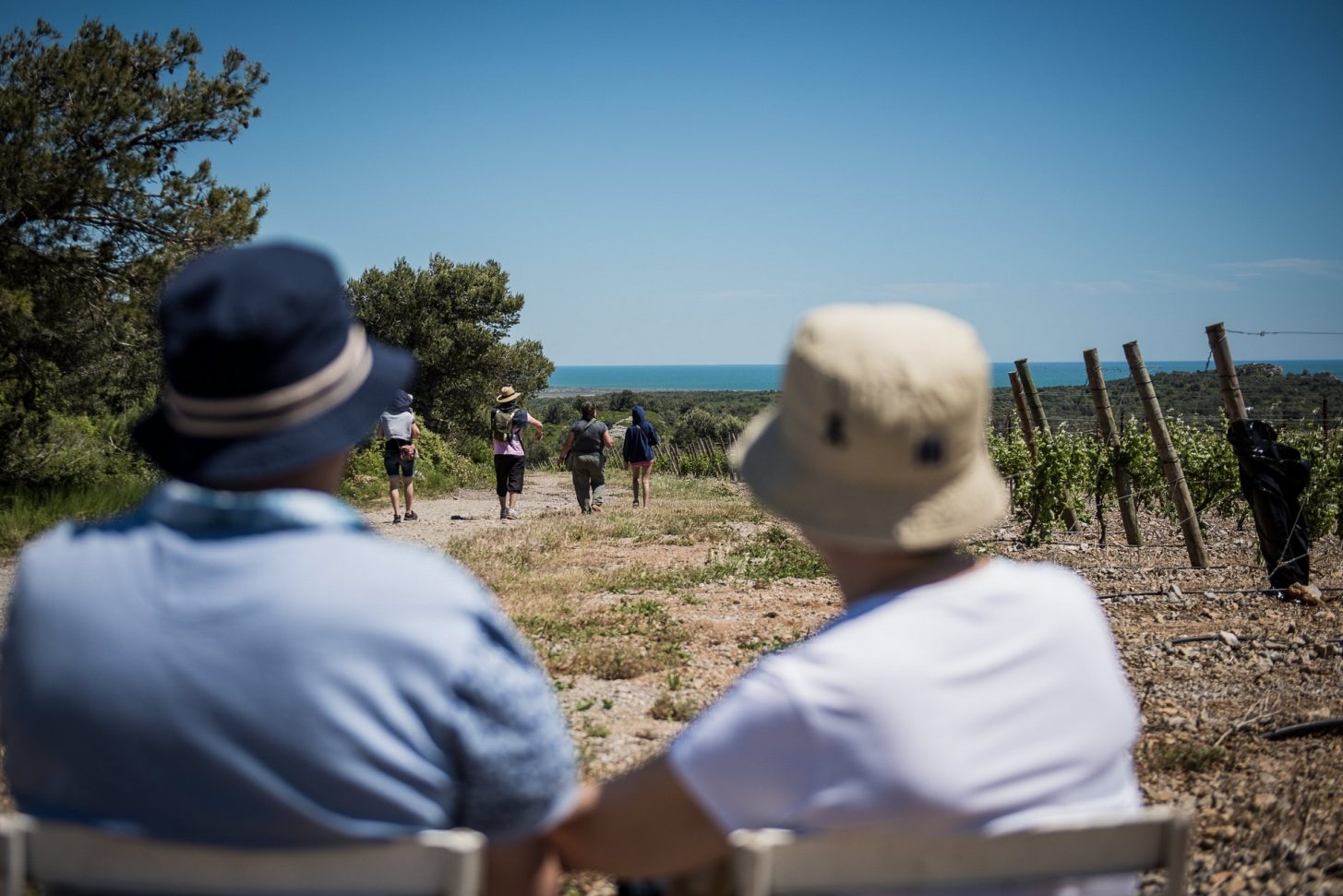 Balade dans les vignes de la Clape