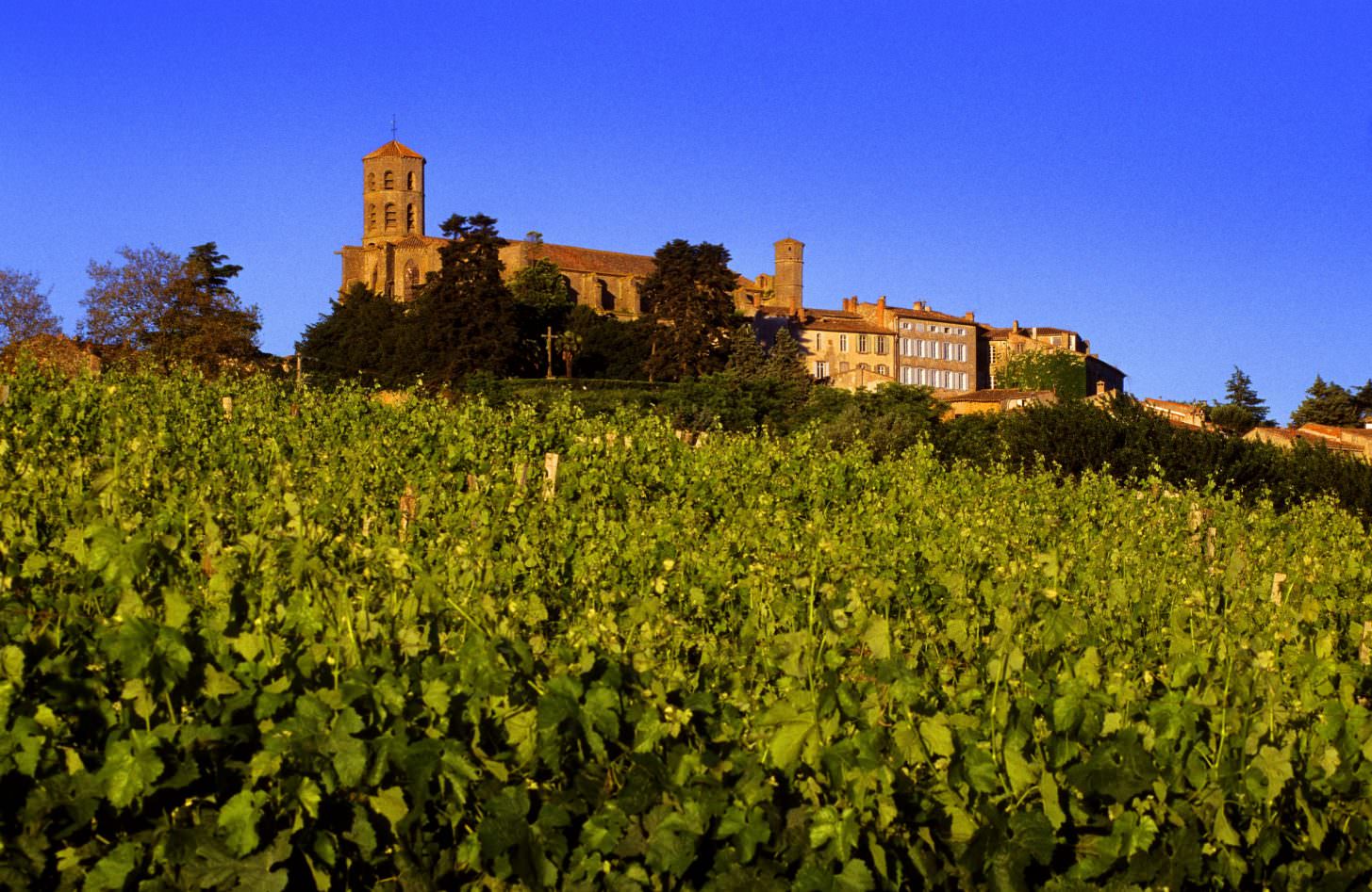 Les vins d'appellation dans l'Aude Aude Pays Cathare Les vins d'appellation dans l'Aude Aude Pays Cathare
