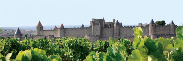 Vue sur la Cité de Carcassonne depuis les vignes ©Mairie de Carcassonne