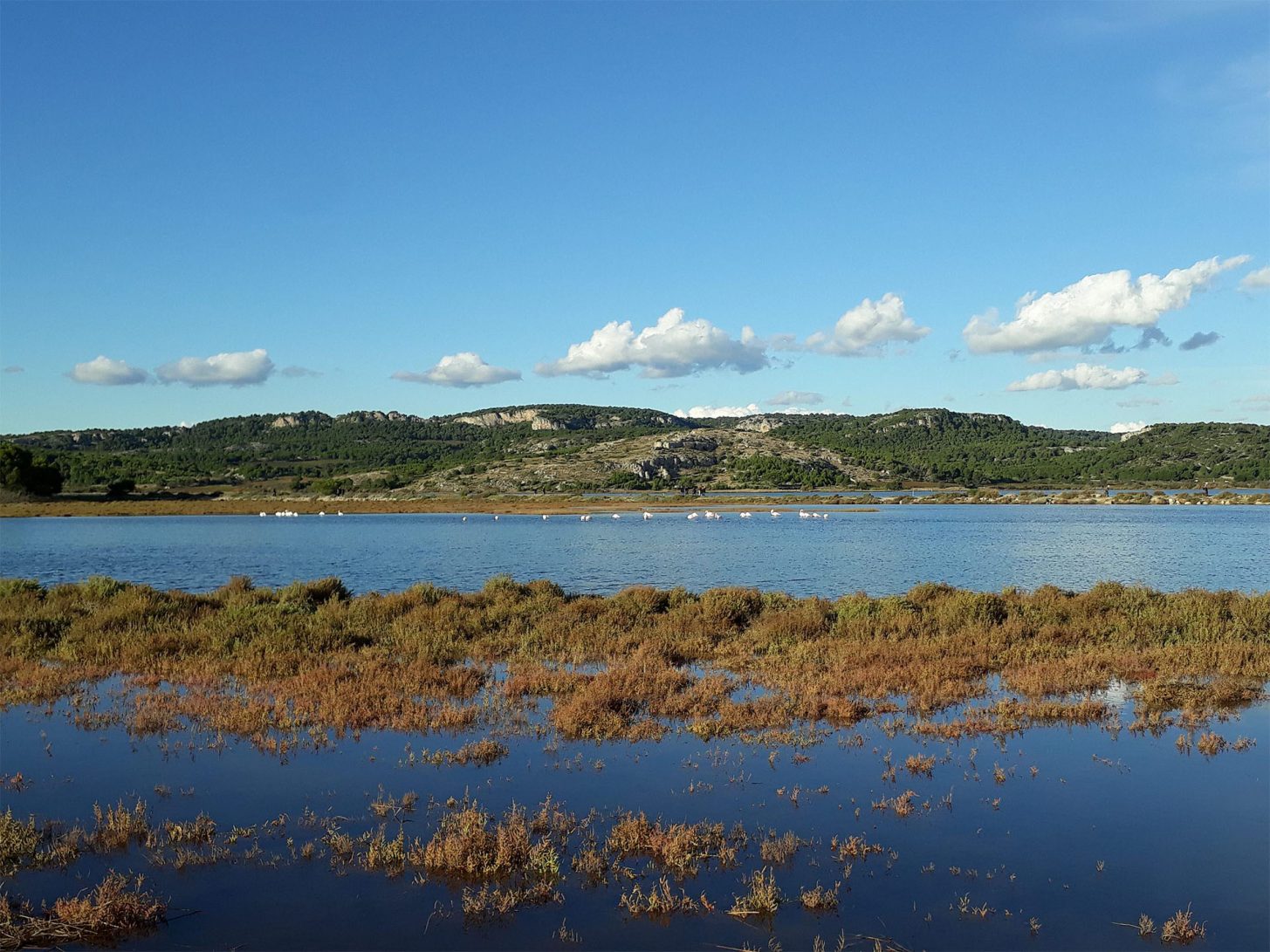 Balade autour de Gruissan et son étang ©ADT de l'Aude