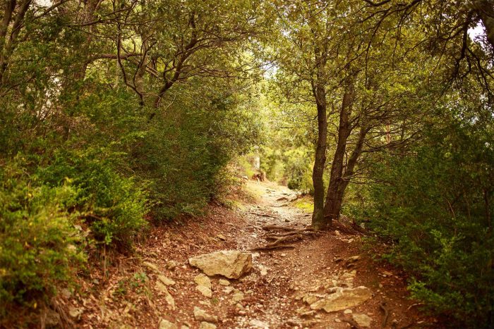 Chemin pédestre menant au château de Puilaurens ©Vincent Photographie