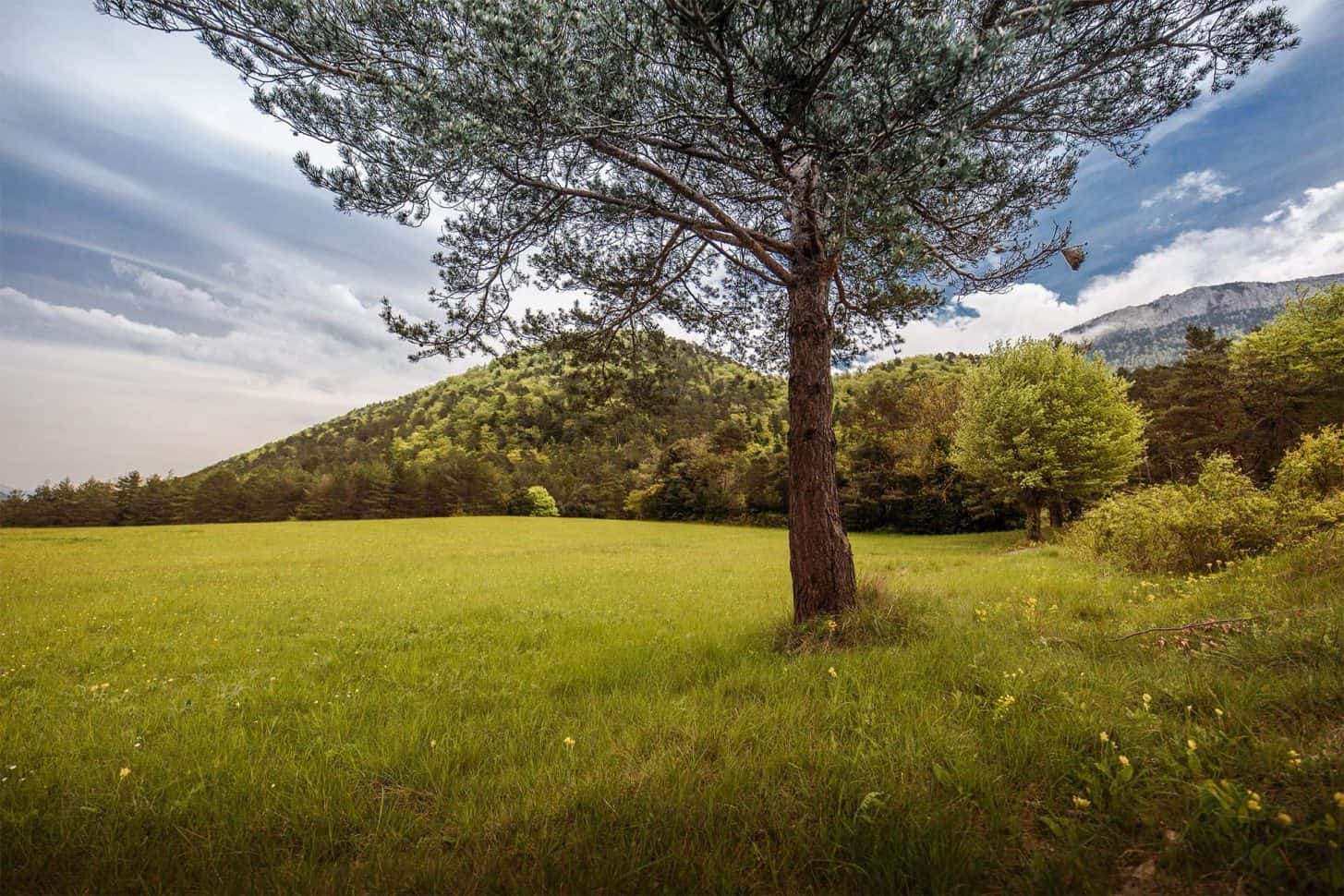 Le château de Puilaurens à Lapradelle-Puilaurens ©Vincent Photographie