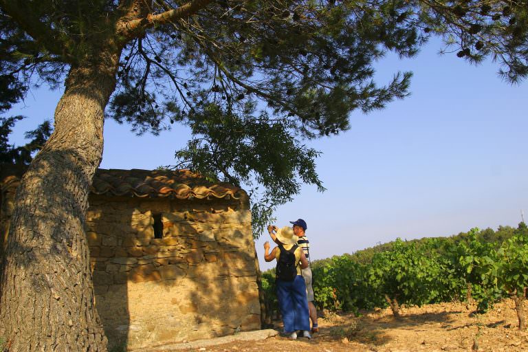 Lézignan-Corbières, randonnée dans les vignes. Crédit : C. Deschamps