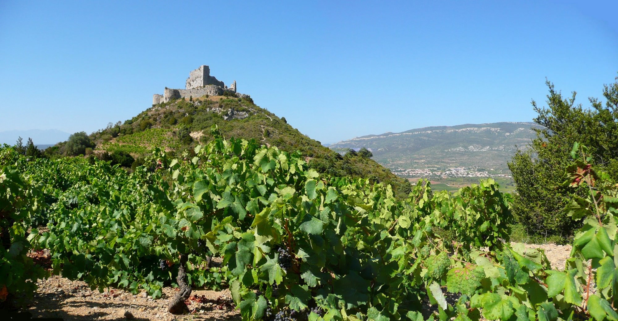 Balade dans les vignes en direction du château d'Aguilar à Tuchan