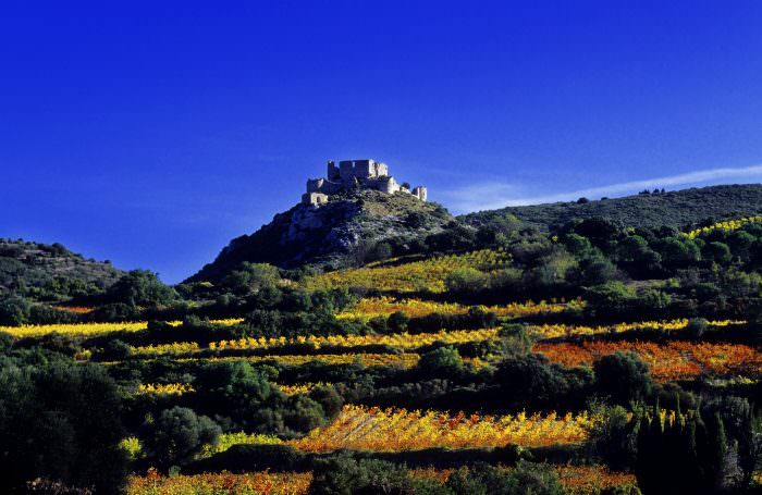 Balade dans les vignes en direction du Château d'Aguilar ©Céline Deschamps-ADT de l'Aude