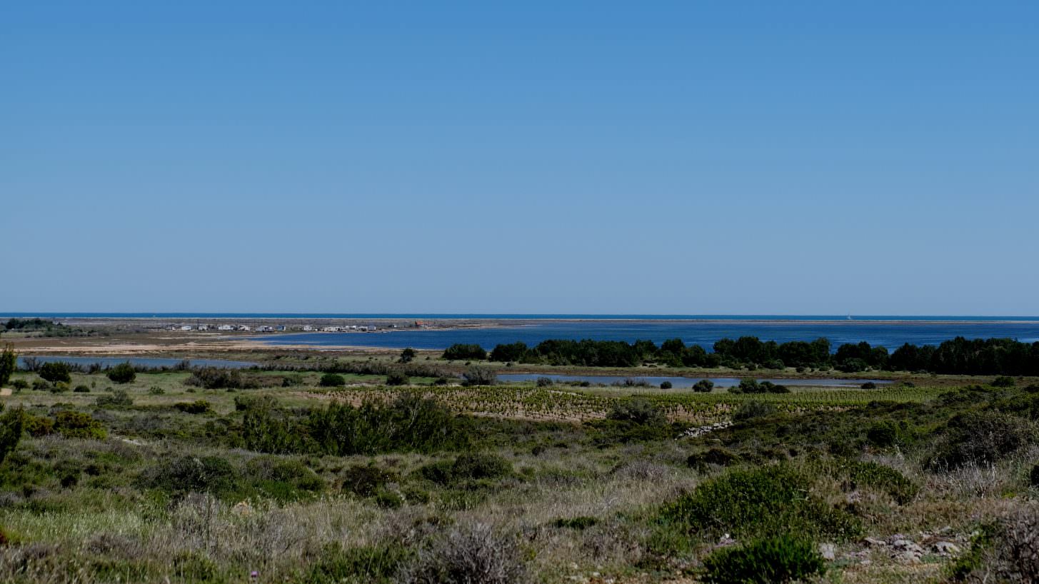 Etang vigne cosperec villemarcheurs