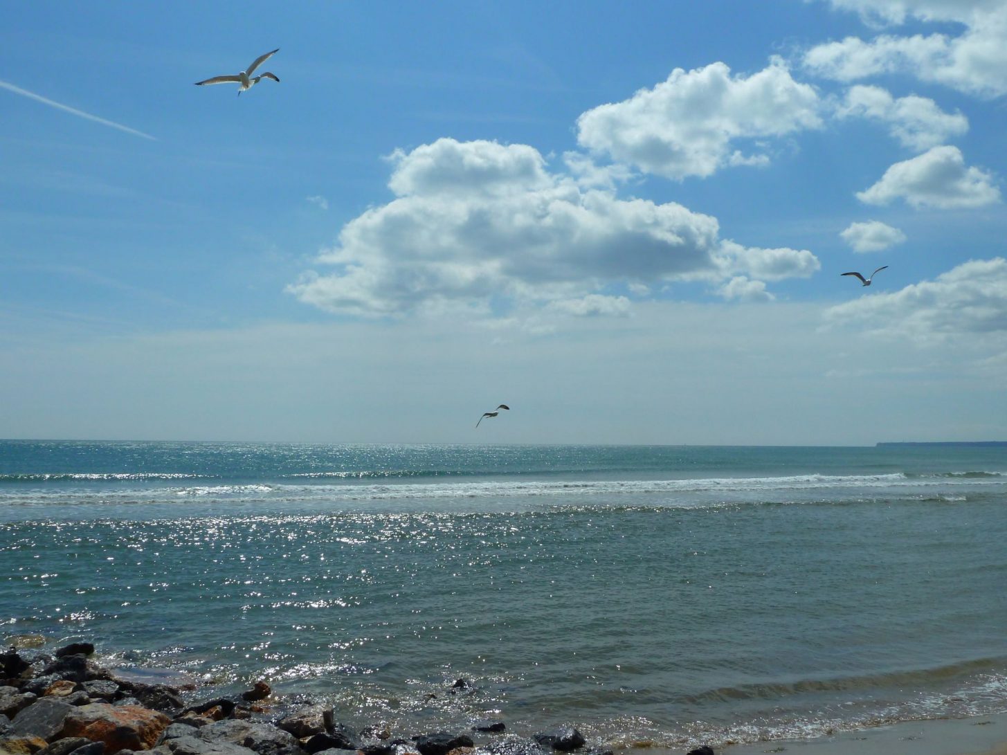 Port la Nouvelle, mer, mouettes