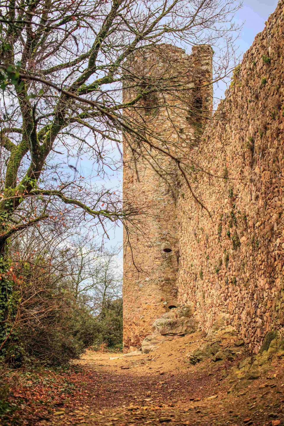 Visite du Château de Saissac ©Vincent Photographie