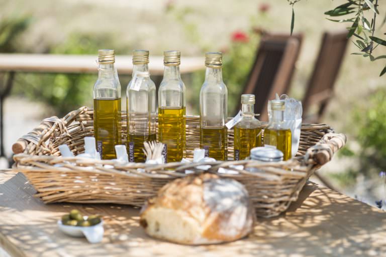 huile d'olive dans l'Aude