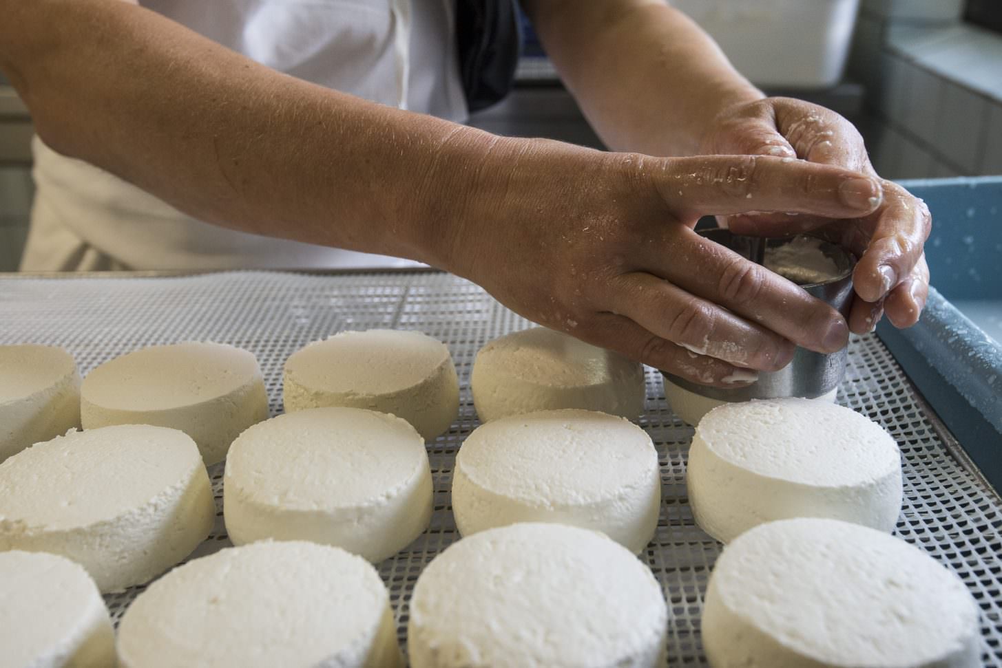 Fromage de chèvre Écu du Pays cathare ©L. Charles - ADT de l'Aude