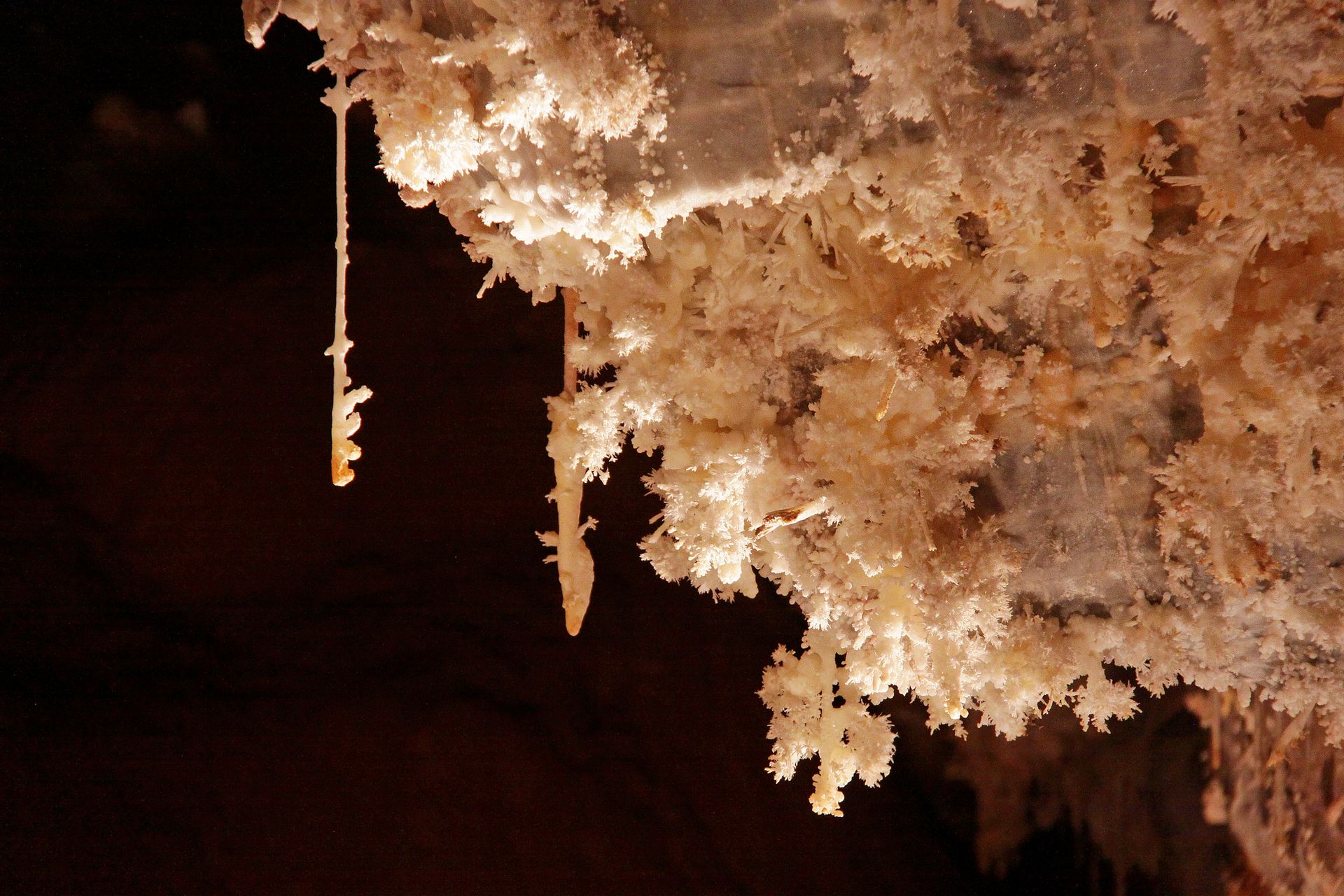 Stalactites au Gouffre Géant de Cabrespine