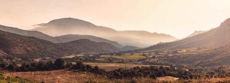 Vue sur les vignes dans les Corbières ©Vincent Photographie-ADT de l'Aude