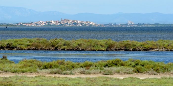 vue de Narbonne et Bages depuis l'étang de Sigean, crédit J. Belondrade