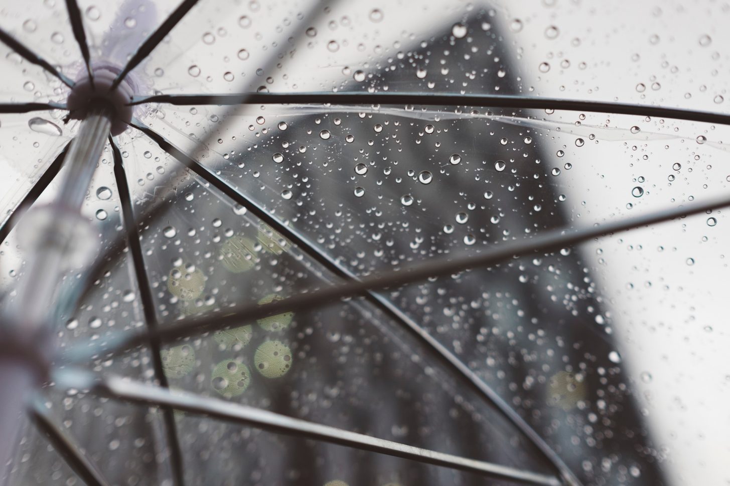 Top 5 - Que faire à Narbonne quand il pleut ? ©StockSnap