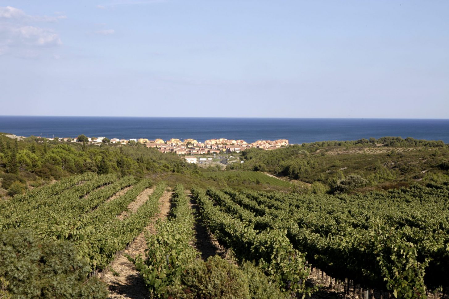 Belle vue vignes et mer depuis la Clape © Mairie de Narbonne