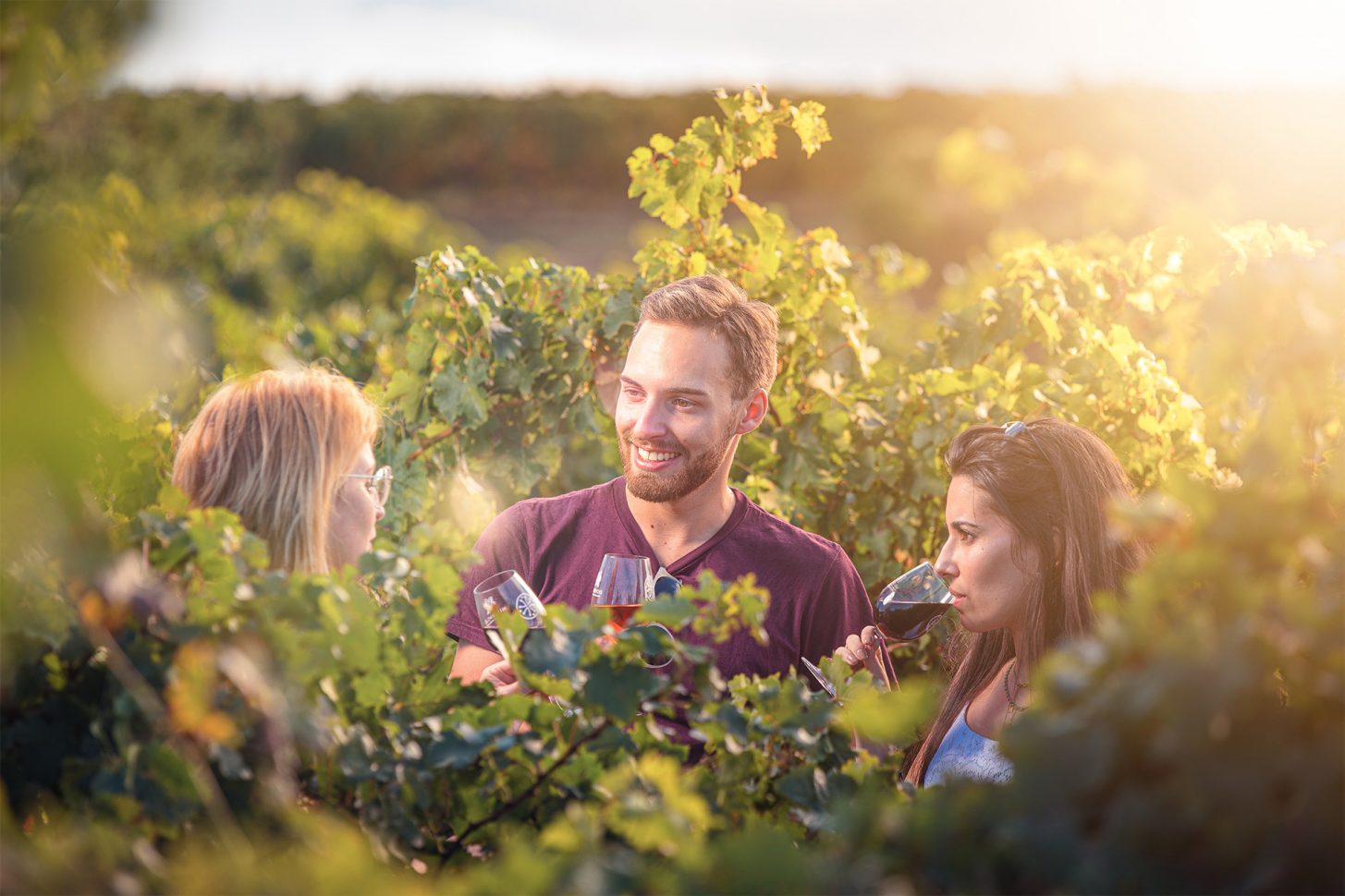 Dégustation de vin dans les vignes ©Vincent Photographie-ADT de l'Aude