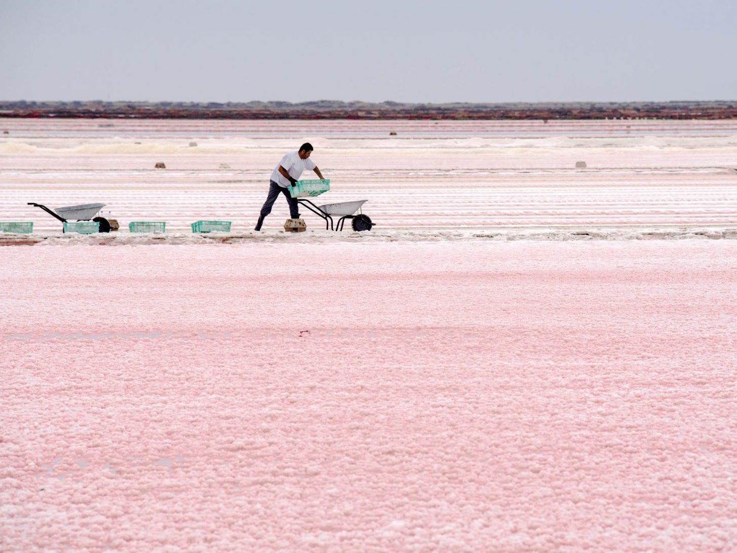 Le travail du saunier à Gruissan,salins de l'Ile de Saint Martin ©IBG Folio - ADT de l'Aude