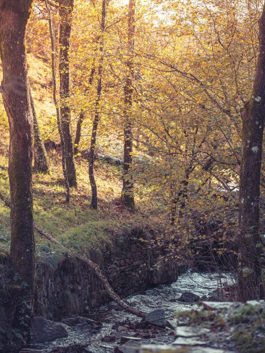 Rivière en Montagne Noire au coeur de l'automne ©Vincent Photographie, ADT de l'Aude