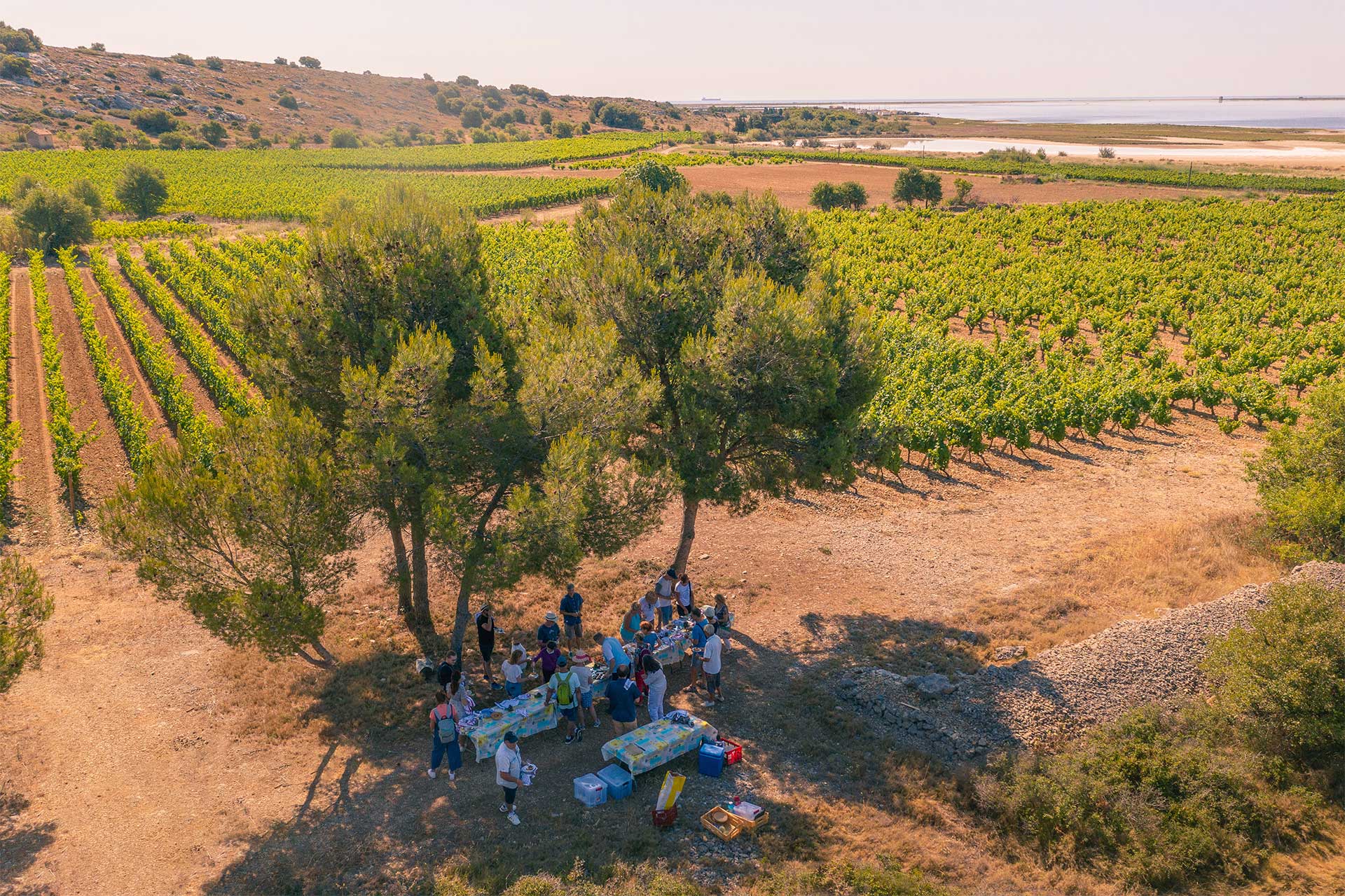 Dégustation de vins dans les vignes au bord de la Mer Méditerranée ©Vincent Photographie - ADT de l'Aude