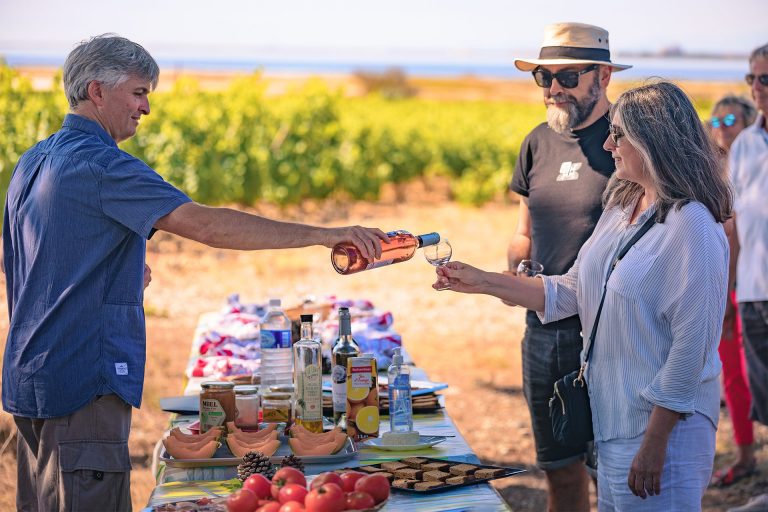 Petit déjeuner dans les vignes et dégustation de vin ©Vincent Photographie - ADT de l'Aude