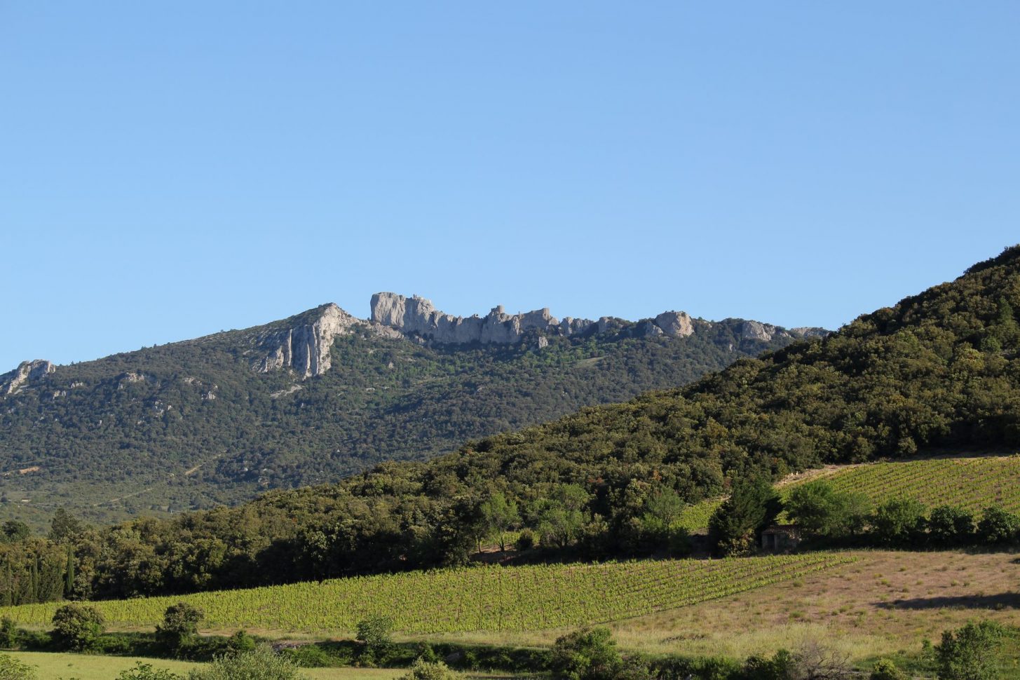 Le château de Peyrepertuse à Duilhac ©S. Dossin