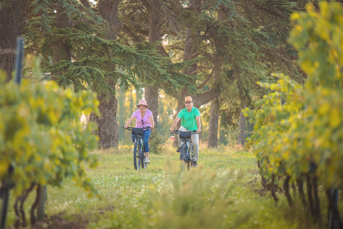 Sur la route de la voie verte à vélo à travers les vignes ©Vincent Photographie - ADT de l'Aude