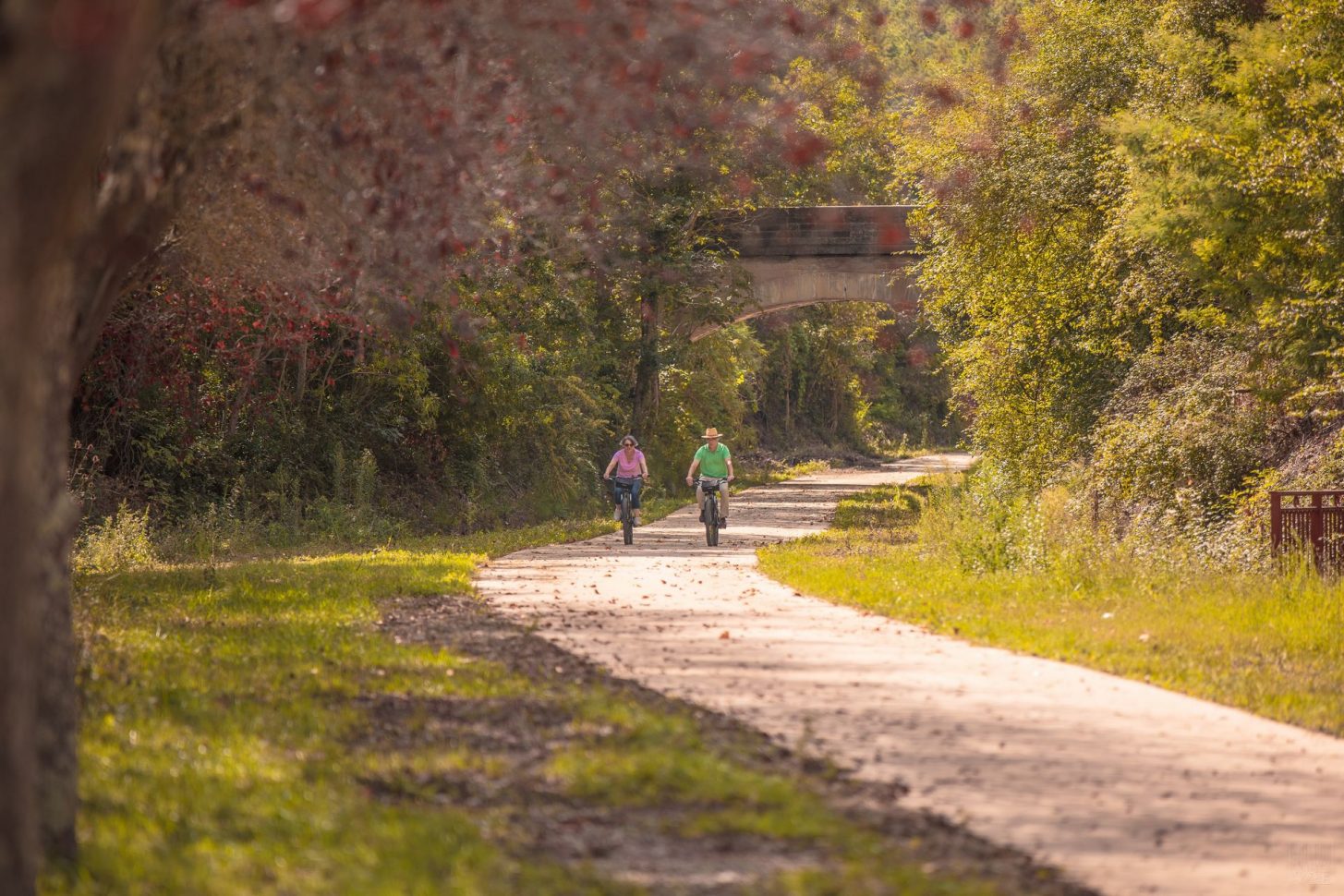 véloroute, un tracé arboré ©Vincent Photographie - ADT de l'Aude
