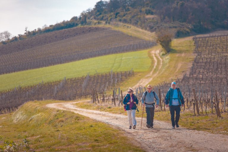 Sur le Saint Jacques de Compostelle, les vignobles de la Malepère ©Vincent Photographie - ADT de l'Aude