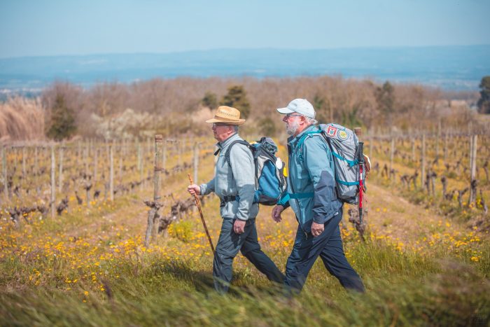 Sur le Saint Jacques de Compostelle, les vignobles de la Malepère ©Vincent Photographie - ADT de l'Aude