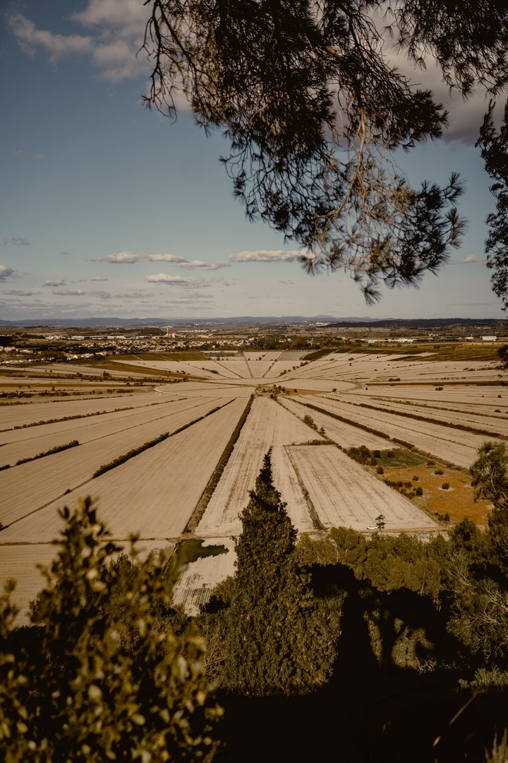 Étang asséché de Montady, dans l’Hérault, Escapade nature sans voiture, Mehdi Hémart