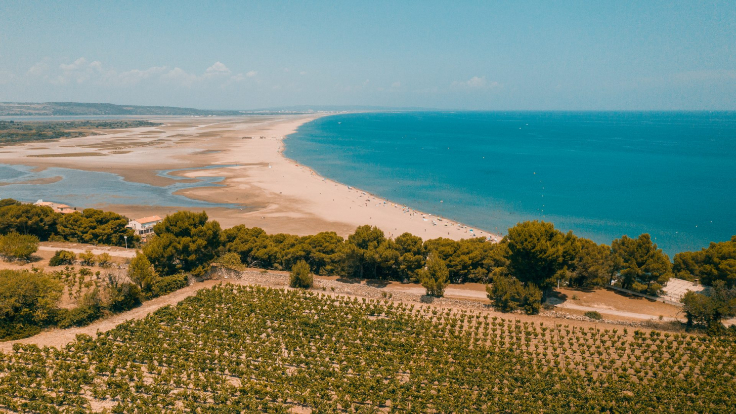 Depuis les hauteurs de Leucate, vue sur les vignes, la mer, Nicolas Strzempa, OT Leucate