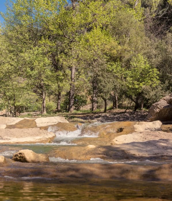 Les cascades de Ribaute dans les gorges du Verdouble près de Duilhac-sous-Peyrepertuse