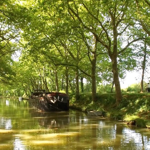 Péniche le long du Canal du Midi ©Ailium Production-ADT de l'Aude