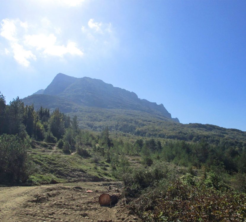 Randonnée en direction du Pech de Bugarach ©D. Cosperec-Villemarcheurs