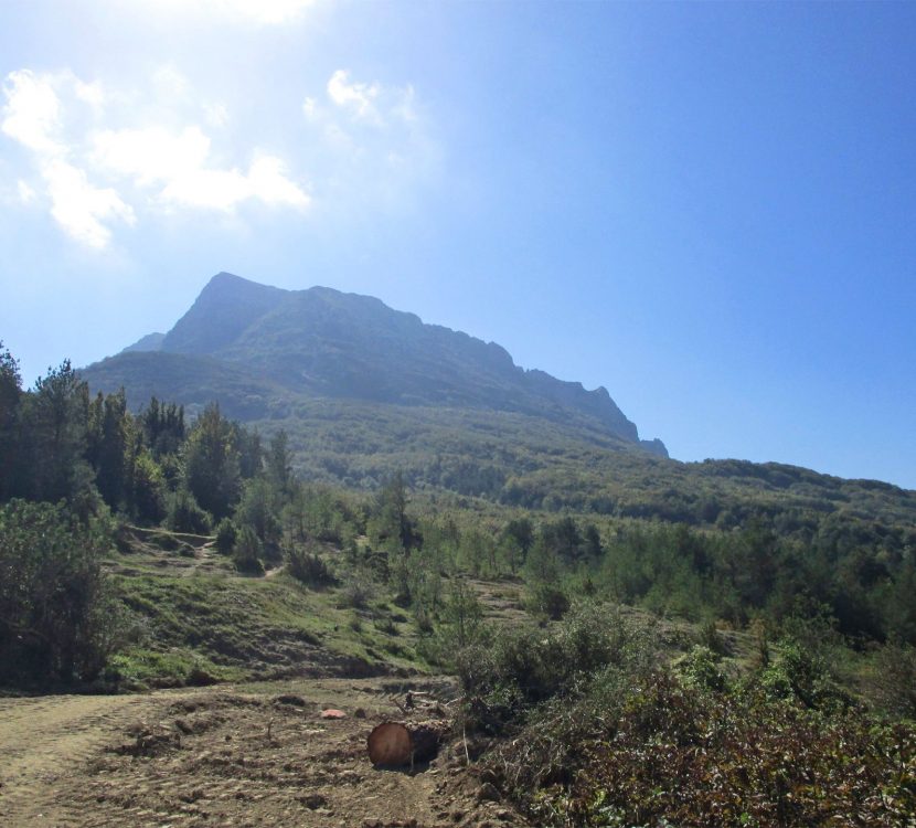 Randonnée en direction du Pech de Bugarach ©D. Cosperec-Villemarcheurs