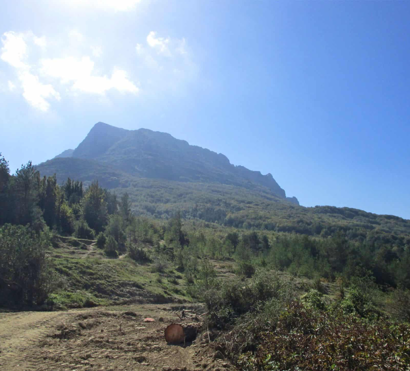 Randonnée en direction du Pech de Bugarach ©D. Cosperec-Villemarcheurs