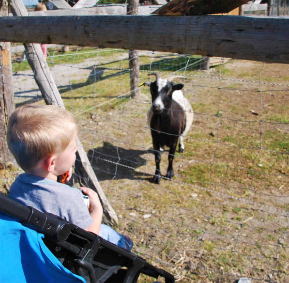 Visite de la ferme la matarelle avec les enfants ©Office de Tourisme de Castelnaudary