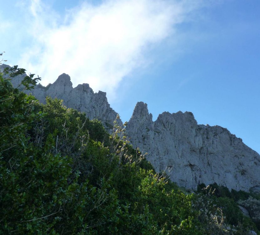 Vue sur le Pech de Bugarach ©d-cosperec-villemarcheurs