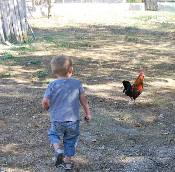 Visite de la ferme la matarelle avec les enfants ©Office de Tourisme de Castelnaudary