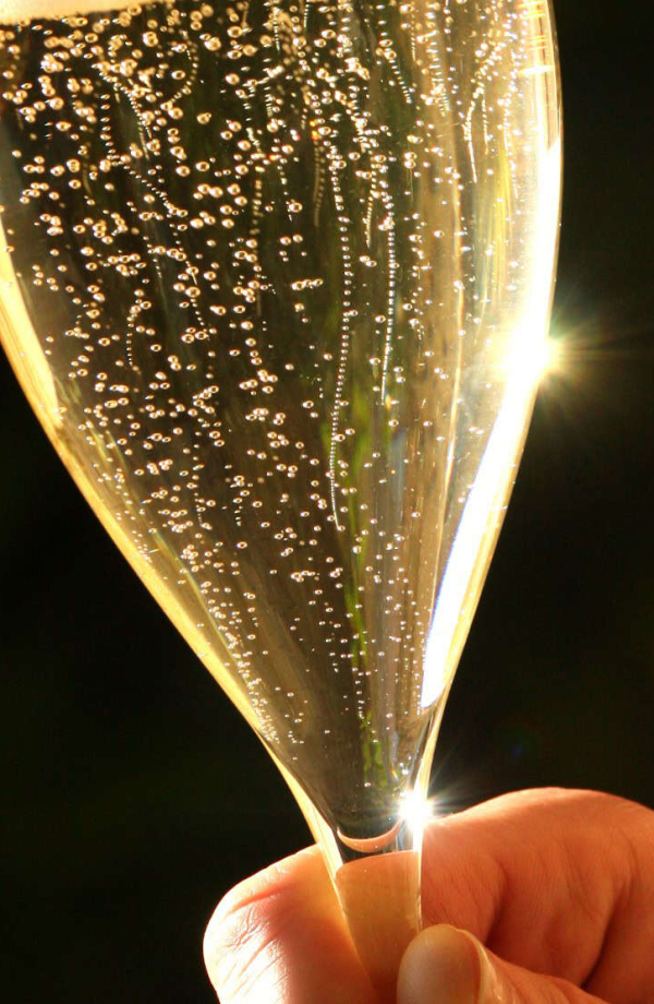 Dégustation de la Blanquette de Limoux ©Céline Deschamps-ADT de l'Aude