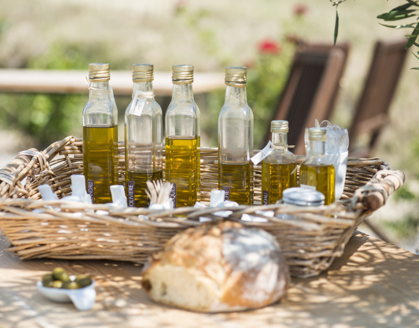 huile d'olive dans l'Aude