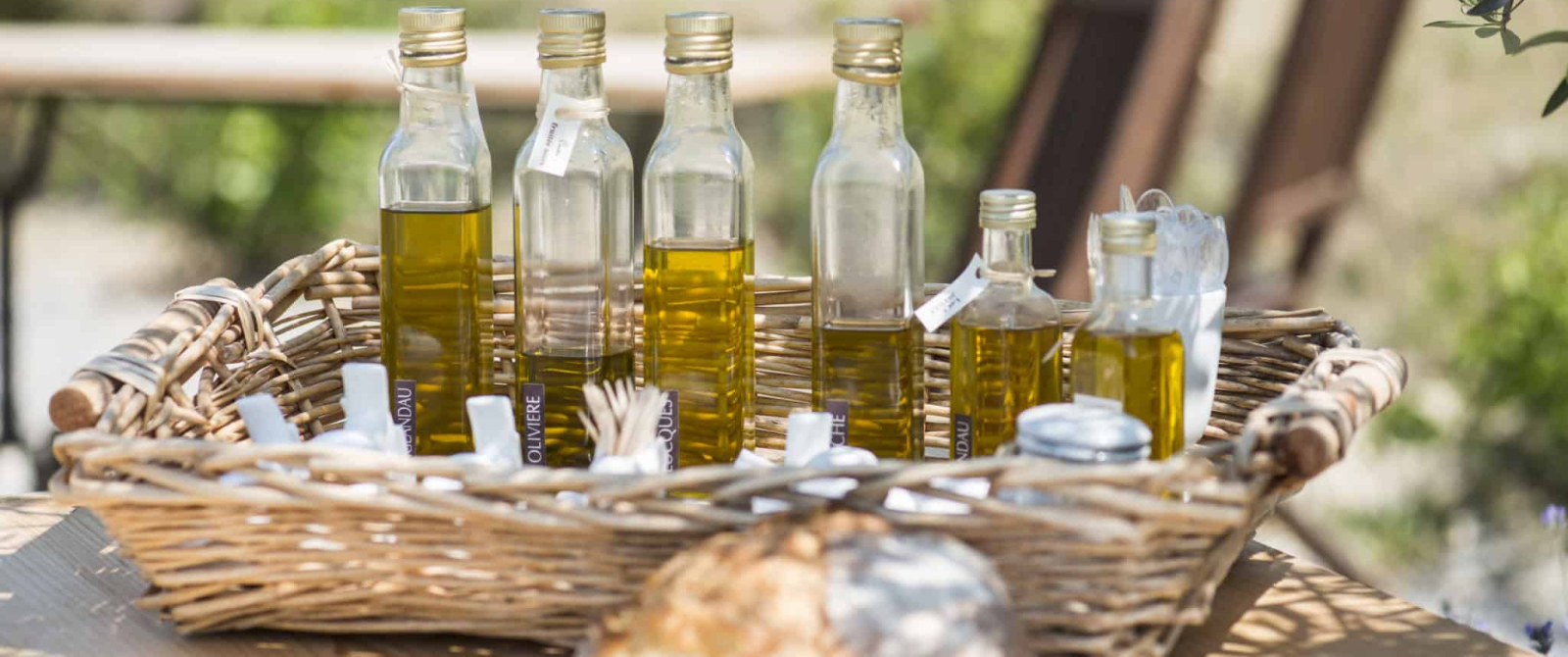 huile d'olive dans l'Aude