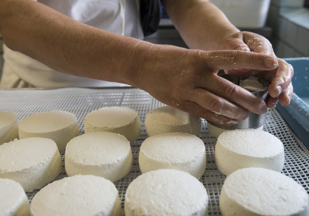 Fromage de chèvre Écu du Pays cathare ©L. Charles - ADT de l'Aude