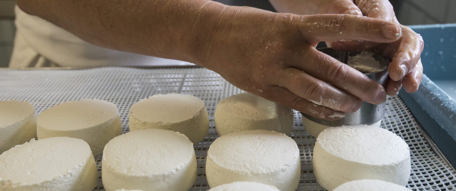 Fromage de chèvre Écu du Pays cathare ©L. Charles - ADT de l'Aude